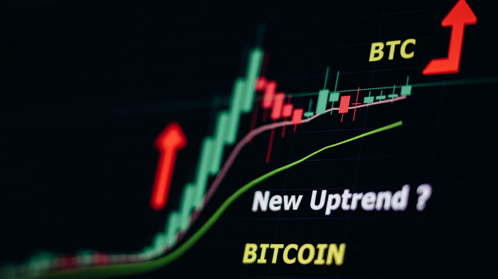 Prediksi tren investasi crypto di tahun 2024 dan seterusnya