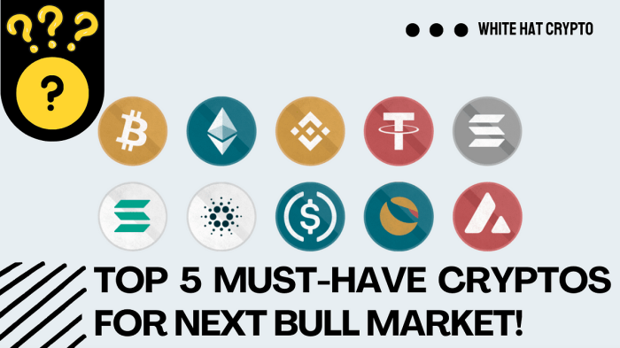 Peluang investasi terbaik di pasar crypto bullish tahun ini