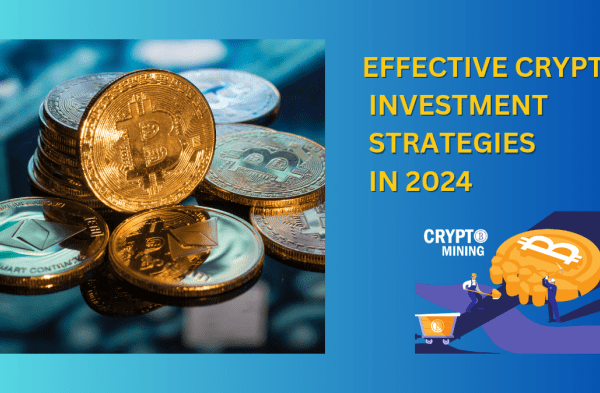 Strategi investasi aset kripto yang terbukti menguntungkan tahun 2024