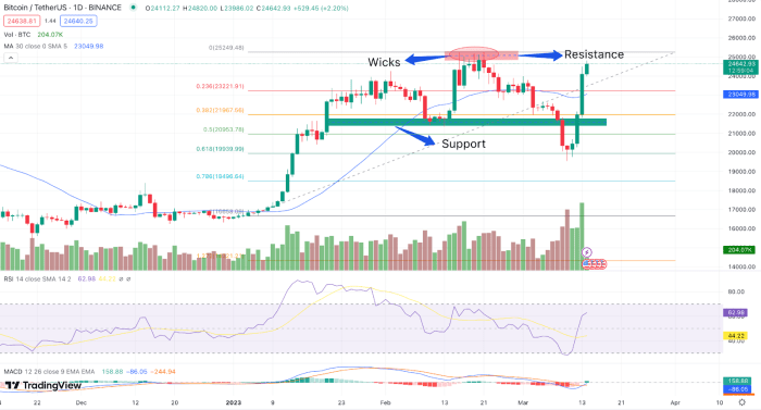 Menggunakan analisis teknikal dan fundamental untuk trading aset kripto