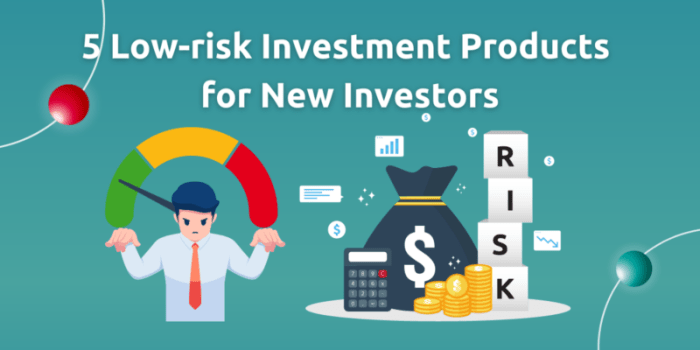Risk low investment investments strategies lowest