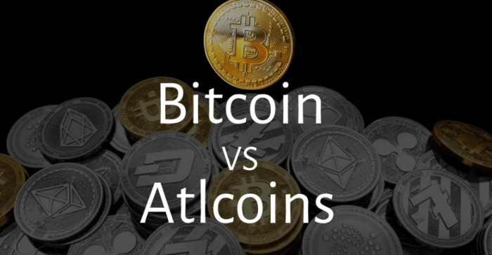 Perbandingan kinerja Bitcoin vs altcoin saat pasar bullish