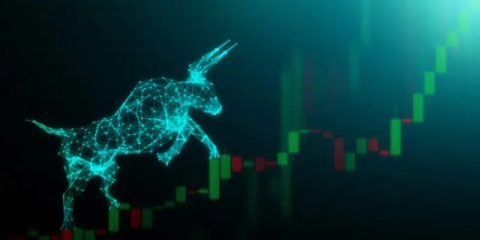 Risiko investasi crypto selama periode bullish market