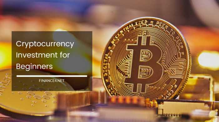 Rekomendasi investasi kripto jangka panjang untuk pemula