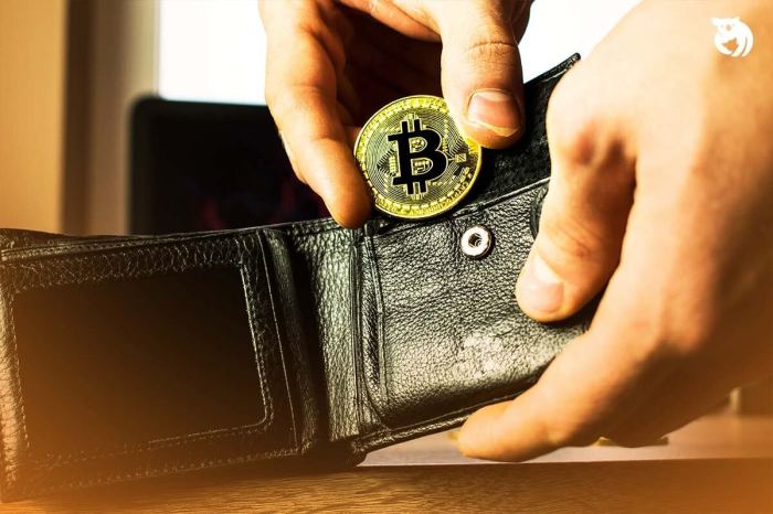 Memilih dompet digital aset kripto yang aman dan terpercaya di Indonesia