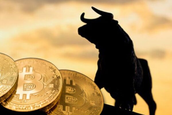 Perbandingan aset crypto yang berkinerja baik saat bullish