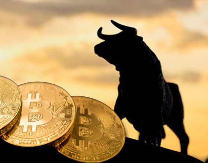 Perbandingan aset crypto yang berkinerja baik saat bullish