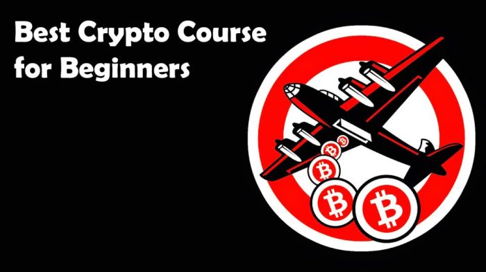 Cara mudah belajar trading aset kripto untuk pemula tanpa pengalaman