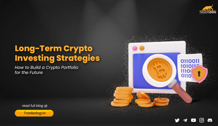 Bagaimana memilih aset kripto yang tepat untuk investasi jangka panjang?