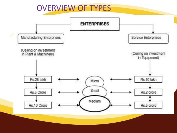 Micro enterprises medium small constraints indonesia development story their