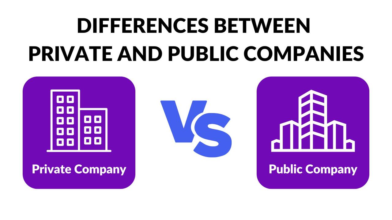 Perbandingan laporan keuangan perusahaan publik vs swasta