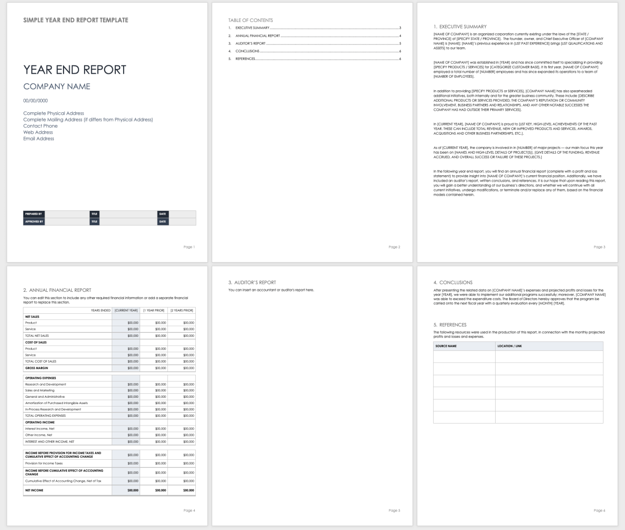 Financial report annual template templates sample format word business details Financial report annual template templates sample format word business details