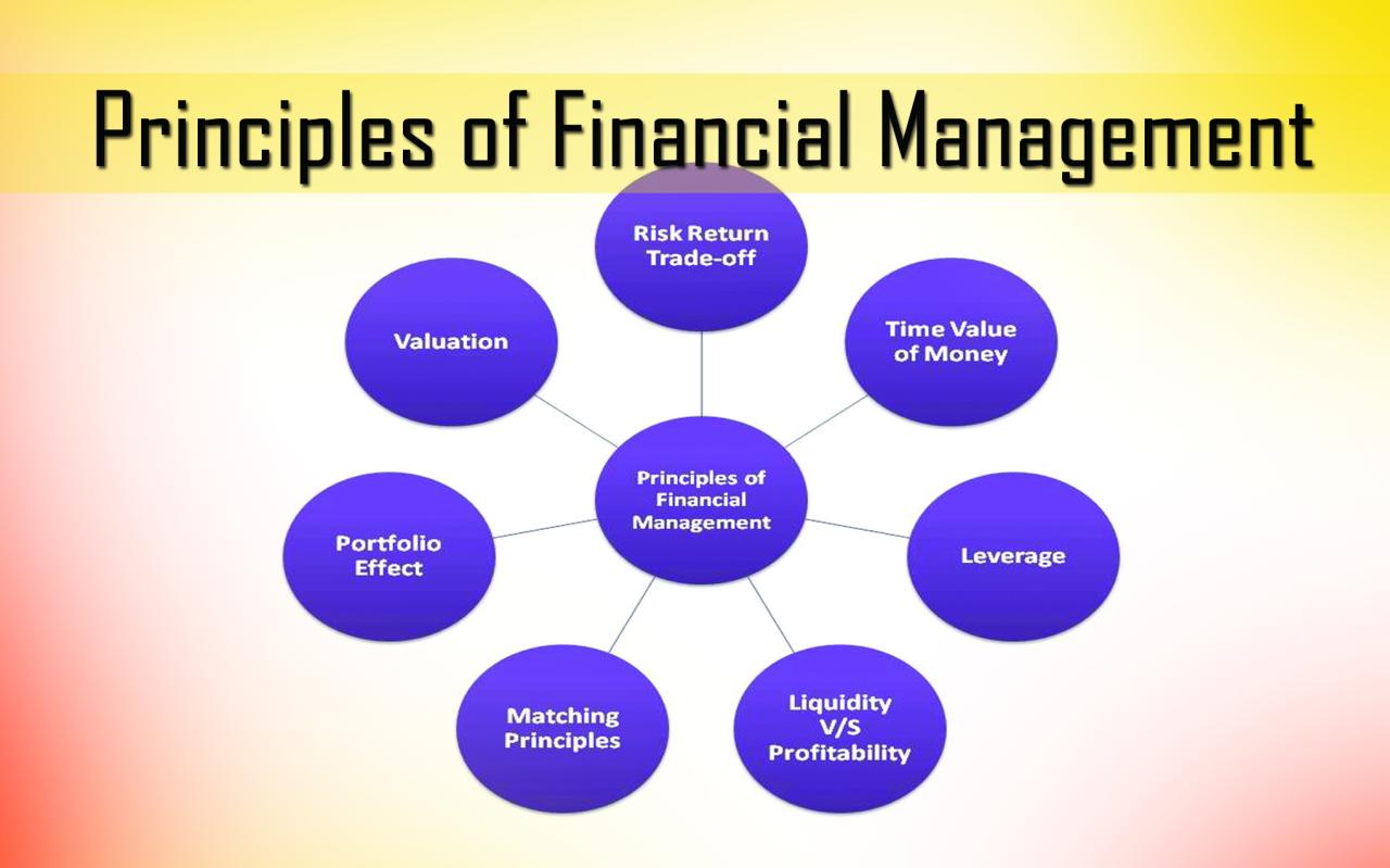 Financial principles perform guideline