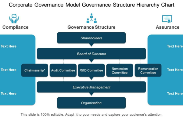 Governance directors