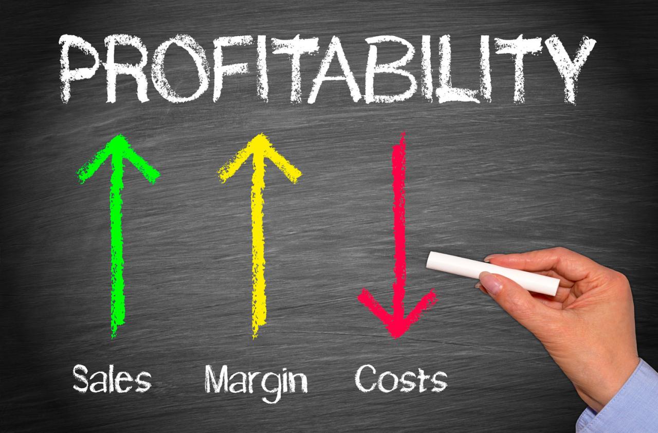 Profit maximization limitations financial management concept its criticized discussed below which some efinancemanagement Profit maximization limitations financial management concept its criticized discussed below which some efinancemanagement