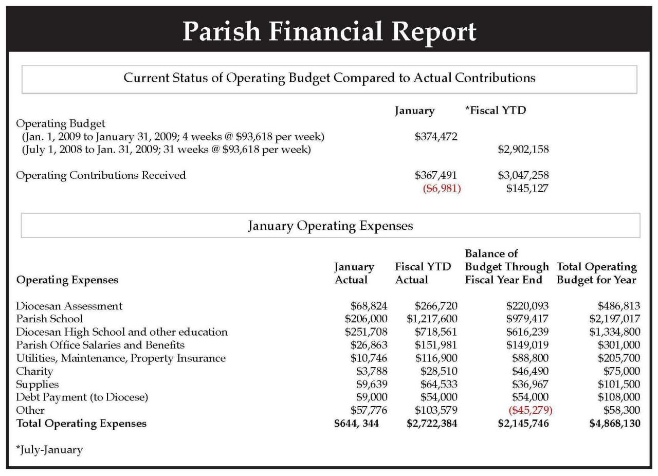 Financial report annual examples example pdf business word capta downloads